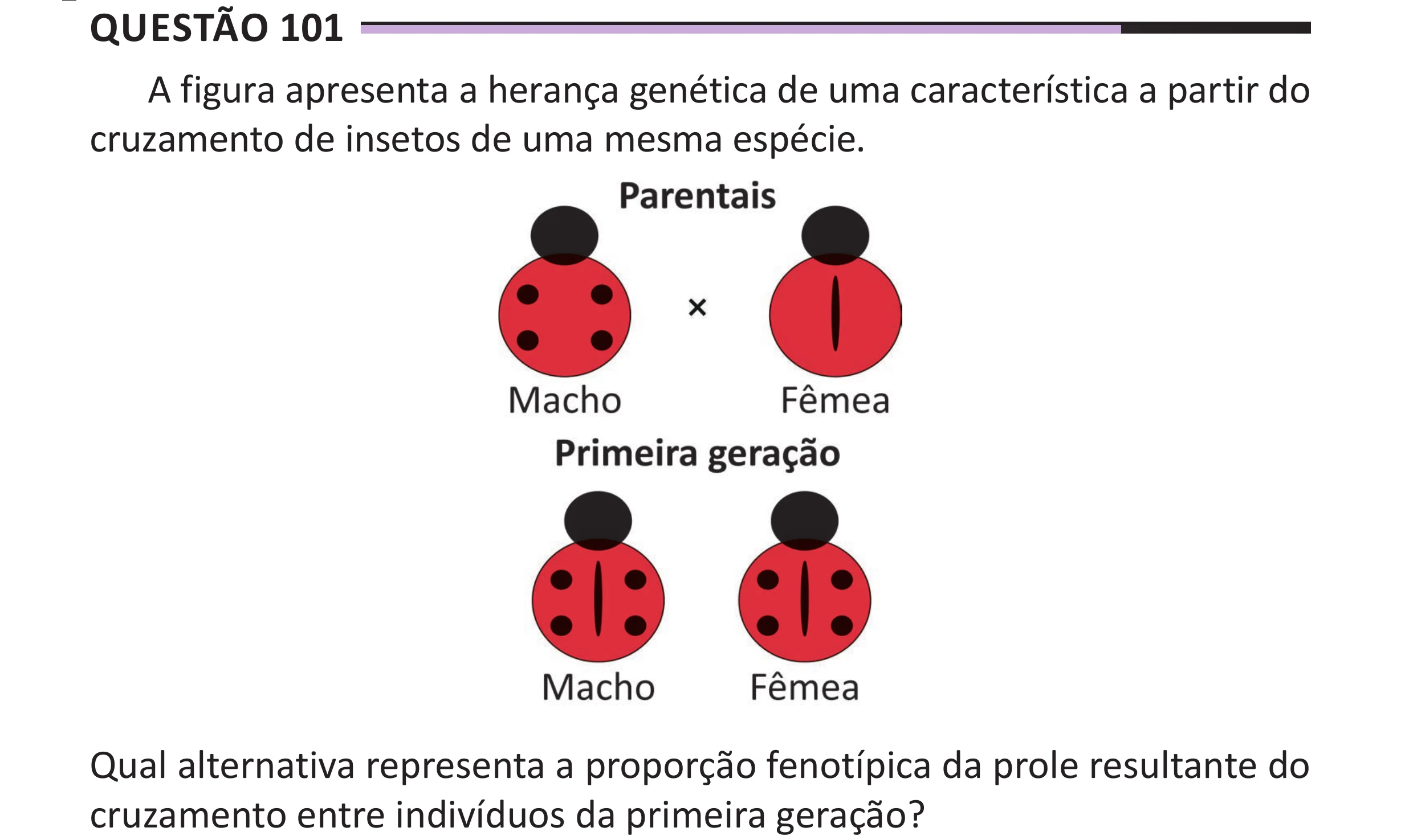 Enunciado original completo da questão 101 do ENEM 2025 - 2º Dia – Caderno 12 – Roxo (Libras) – Aplicação Regular - (Superampliada), página 12.