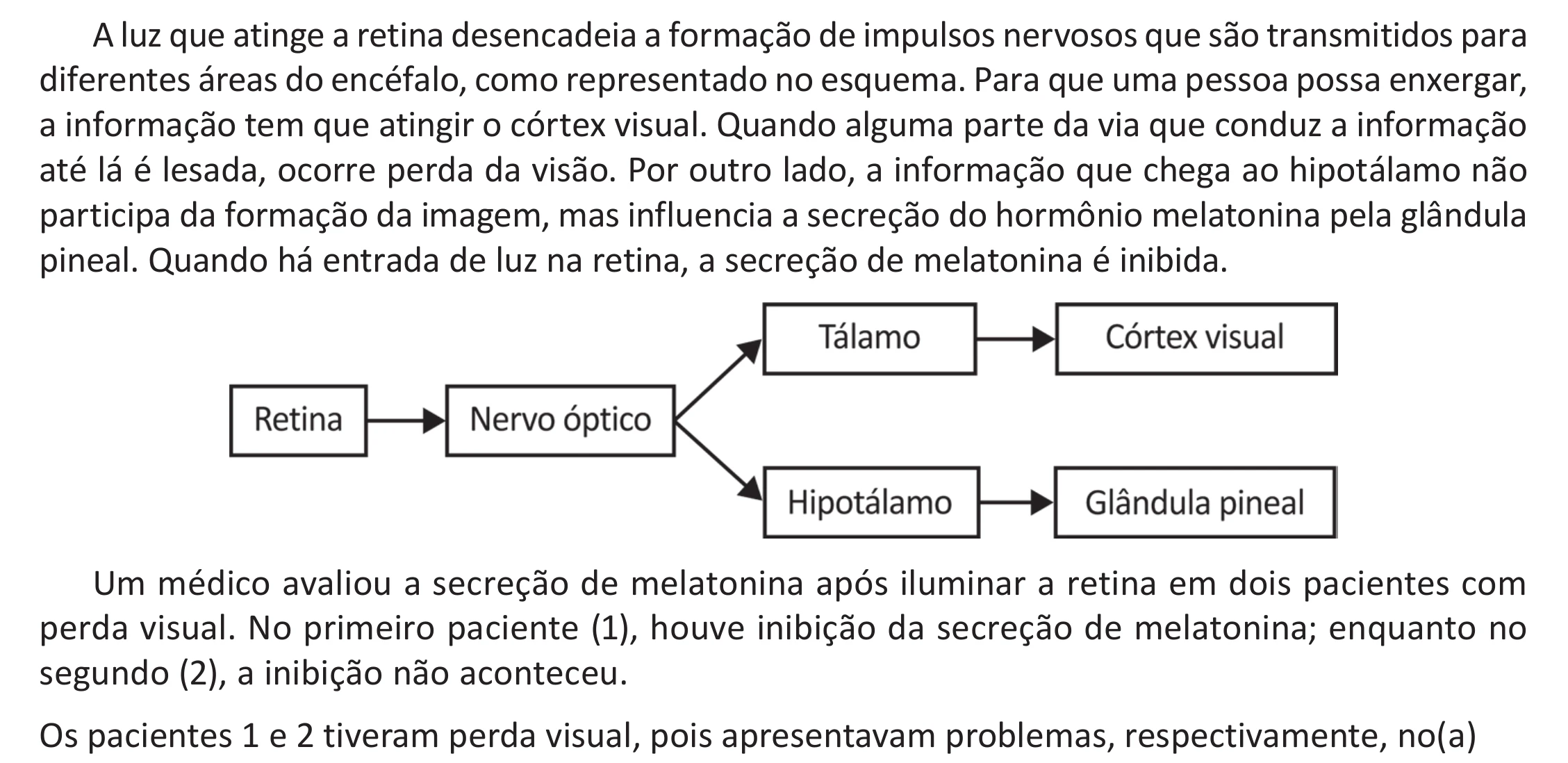 Enunciado original completo da questão 124 do ENEM 2025 - 2º Dia – Caderno 11 – Laranja (Braile e ledor) – Aplicação Regular - (Ampliada) - Belém, Ananindeua e Marituba, página 24.