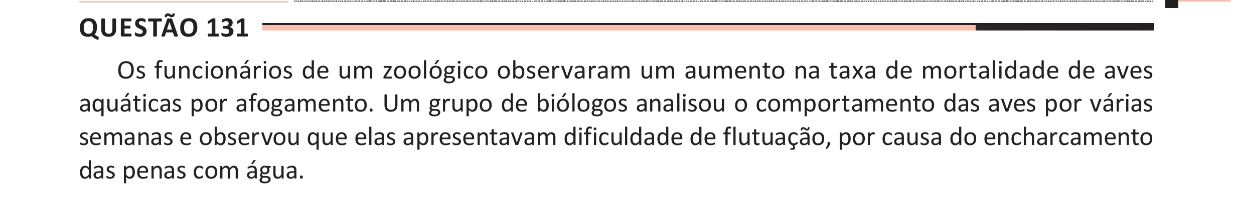 Enunciado original completo da questão 131 do ENEM 2025 - 2º Dia – Caderno 11 – Laranja (Braile e ledor) – Aplicação Regular - (Ampliada), página 29.