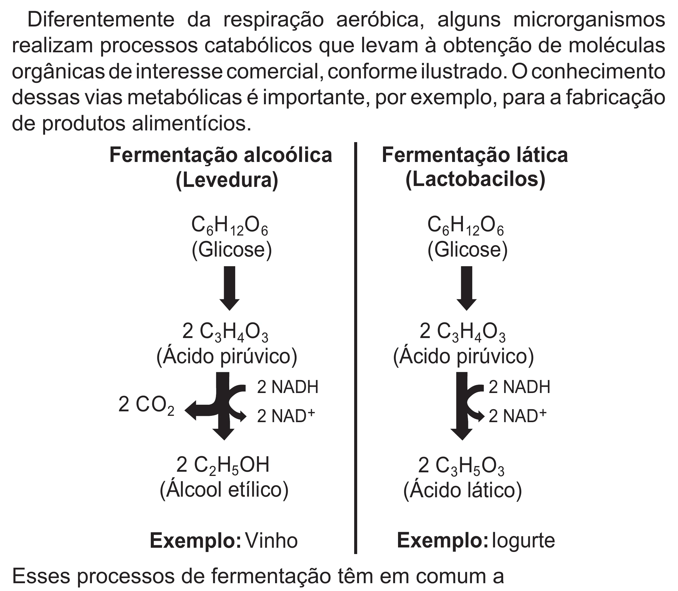Enunciado original completo da questão 106 do ENEM 2022 - 2º Dia – Caderno 6 – Cinza (Superampliada) – Reaplicação/PPL, página 14.