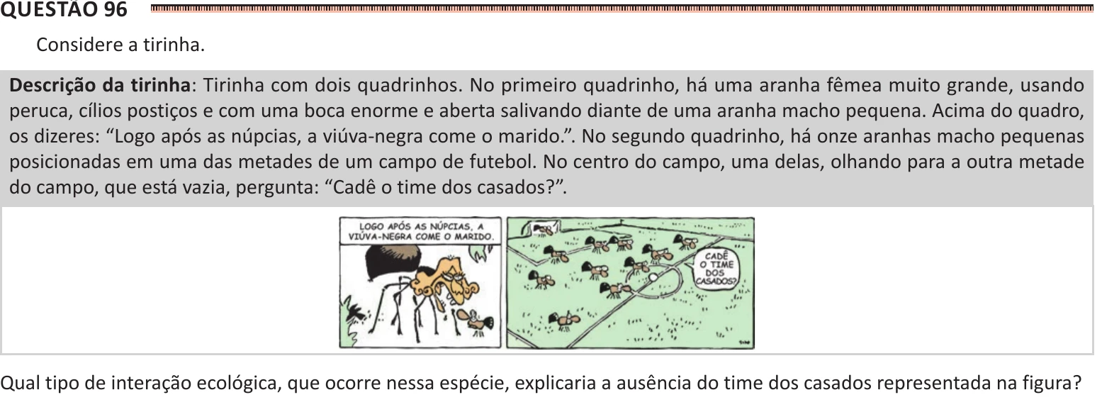 Enunciado original completo da questão 96 do ENEM 2025 - 2º Dia – Caderno 11 – Laranja (Braile e ledor) – Reaplicação - (Ledor), página 3.