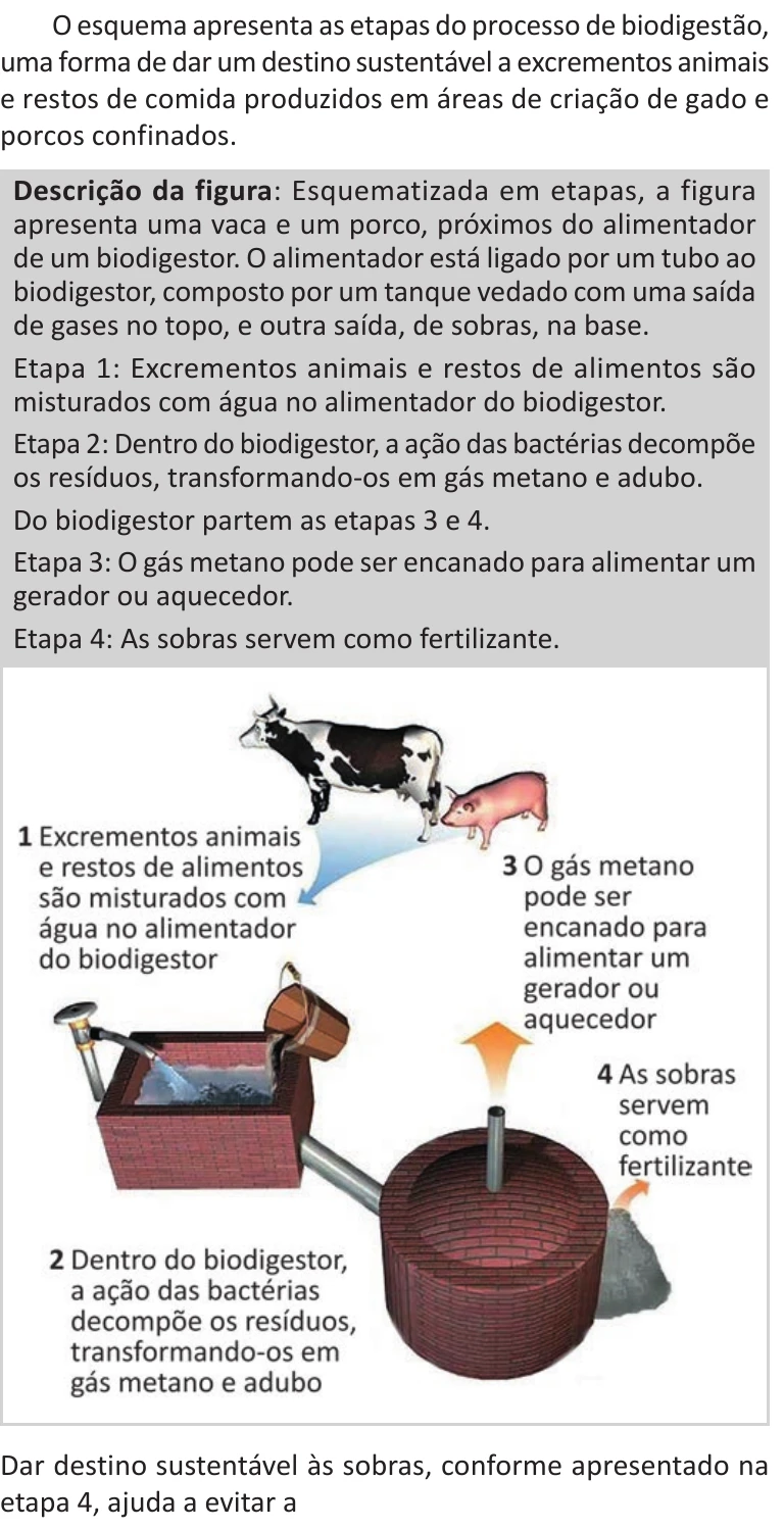 Enunciado original completo da questão 105 do ENEM 2025 - 2º Dia – Caderno 11 – Laranja (Braile e ledor) – Aplicação Regular - (Ledor), página 6.