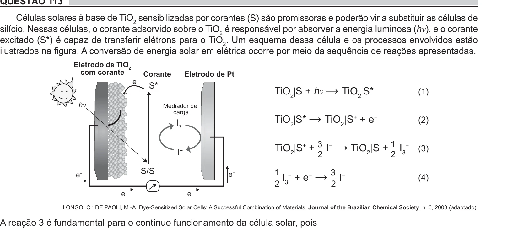 Enunciado original completo da questão 113 do ENEM 2018 - 2º Dia - Caderno 5 - Amarelo – Aplicação regular, página 8.
