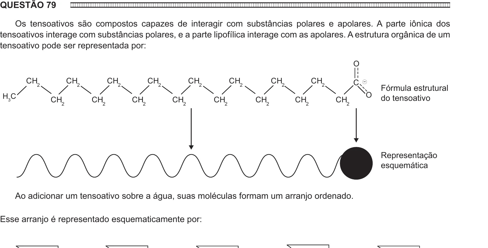Enunciado original completo da questão 79 do ENEM 2016 - 1º Dia - Caderno 4 - Rosa – Aplicação regular, página 28.