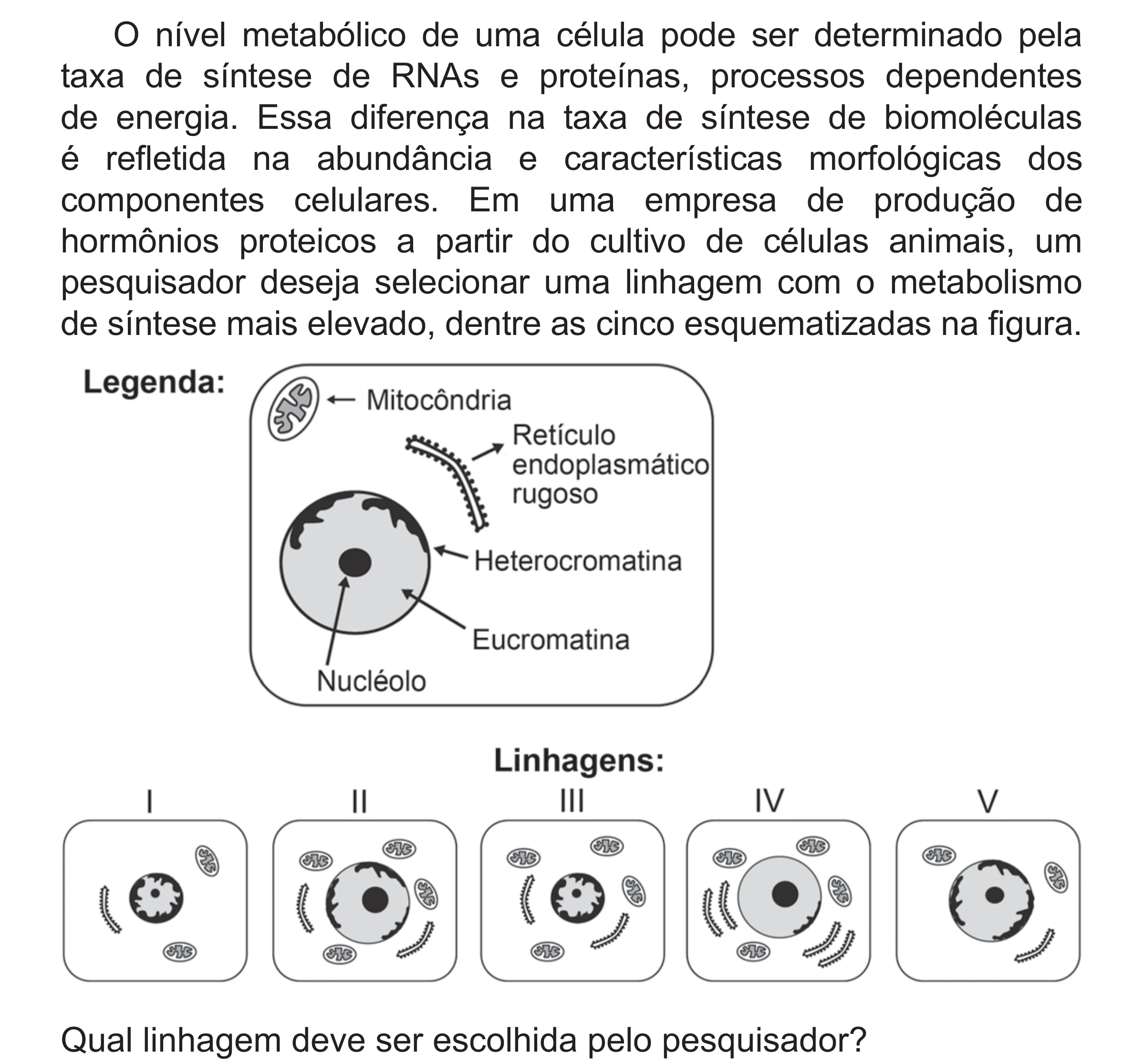 Enunciado original completo da questão 114 do ENEM 2018 - 2º Dia - Caderno 5 – Amarelo (Superampliada) – Aplicação regular, página 22.