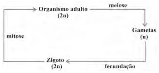 Alternativa C da questão 22 do ENEM 2009 - 1º Dia - Caderno 2 - Amarelo.