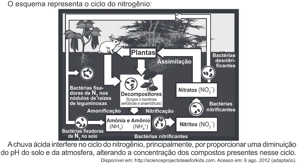 Trecho original com figura, tabela ou fórmula da questão 99 do ENEM 2022 - 2º Dia – Caderno 6 – Cinza (Ampliada) – Aplicação Regular.