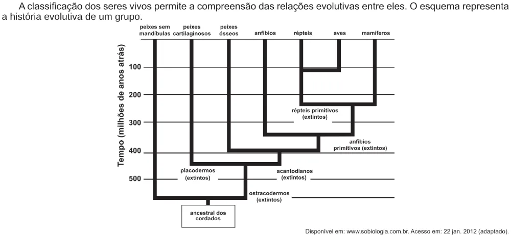 Trecho original com figura, tabela ou fórmula da questão 49 do ENEM 2014 - 1º Dia – Caderno 3 – Branco – Reaplicação/PPL.