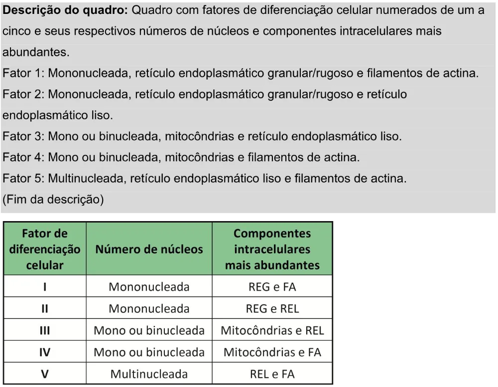Trecho original com figura, tabela ou fórmula da questão 95 do ENEM 2025 - 2º Dia – Caderno 11 – Laranja (Braile e ledor) – Aplicação Regular - Leitor de tela (NVDA) - Belém, Ananindeua e Marituba.