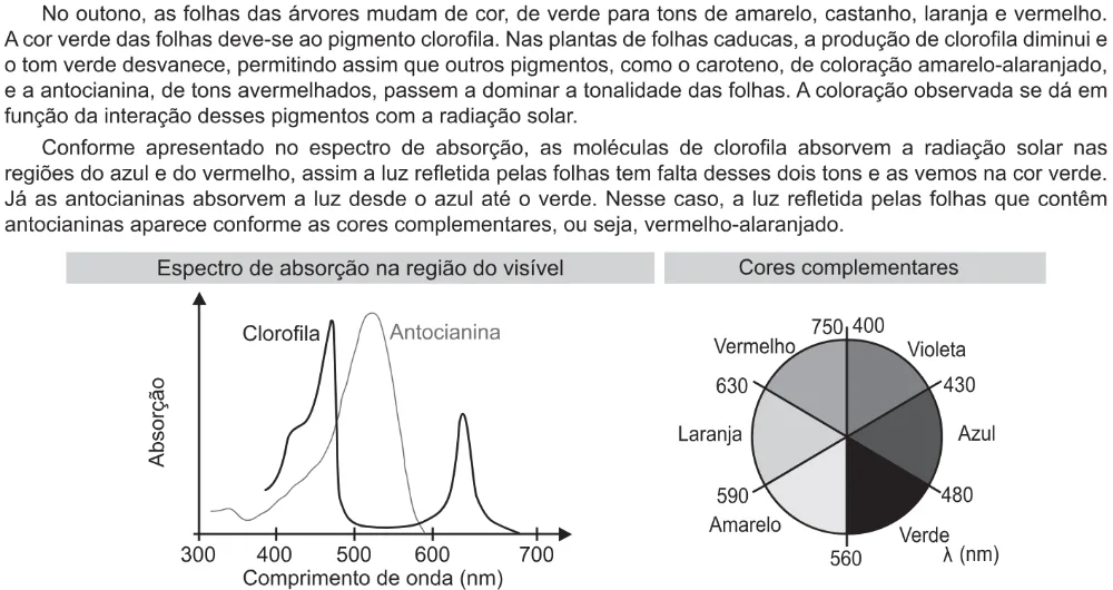 Trecho original com figura, tabela ou fórmula da questão 121 do ENEM 2021 - 2º Dia – Caderno 8 – Rosa – Aplicação Regular.