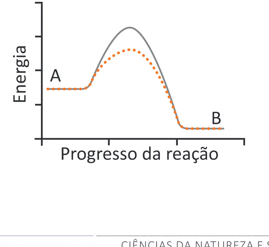 Alternativa C da questão 133 do ENEM 2025 - 2º Dia – Caderno 12 – Roxo (Libras) – Aplicação Regular - (Superampliada).