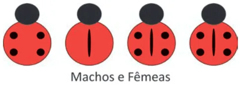 Alternativa E da questão 101 do ENEM 2025 - 2º Dia – Caderno 6 – Cinza – Aplicação Regular.