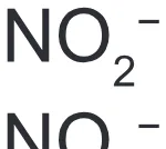 Alternativa D da questão 99 do ENEM 2022 - 2º Dia – Caderno 6 – Cinza (Superampliada) – Aplicação Regular.