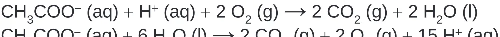 Alternativa C da questão 106 do ENEM 2024 - 2º Dia – Caderno 8 – Verde – Aplicação Regular - (Superampliada).