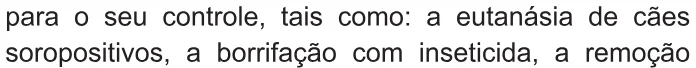 Trecho original com figura, tabela ou fórmula da questão 135 do ENEM 2021 - 2º Dia – Caderno 5 – Amarelo – Reaplicação/PPL/Segunda Oportunidade.