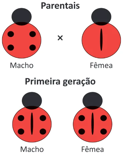 Trecho original com figura, tabela ou fórmula da questão 102 do ENEM 2025 - 2º Dia – Caderno 5 – Amarelo – Aplicação Regular.