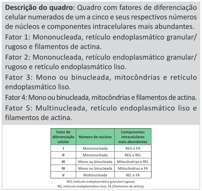 Trecho original com figura, tabela ou fórmula da questão 95 do ENEM 2025 - 2º Dia – Caderno 11 – Laranja (Braile e ledor) – Aplicação Regular - (Ledor) - Belém, Ananindeua e Marituba.