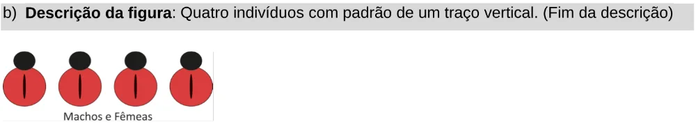 Alternativa B da questão 101 do ENEM 2025 - 2º Dia – Caderno 11 – Laranja (Braile e ledor) – Aplicação Regular - Leitor de tela (NVDA).