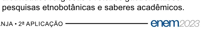 Alternativa E da questão 85 do ENEM 2023 - 1º Dia – Caderno 9 – Laranja (braile e ledor) – Reaplicação/PPL.