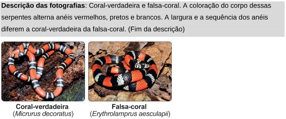 Trecho original com figura, tabela ou fórmula da questão 91 do ENEM 2024 - 2º Dia – Caderno 11 – Laranja (braile e ledor) – Aplicação Regular - Leitor de tela (NVDA).
