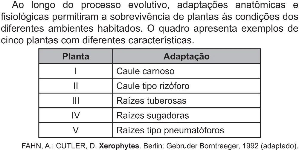 Trecho original com figura, tabela ou fórmula da questão 132 do ENEM 2021 - 2º Dia – Caderno 5 – Amarelo (Superampliada) – Reaplicação/PPL/Segunda Oportunidade.