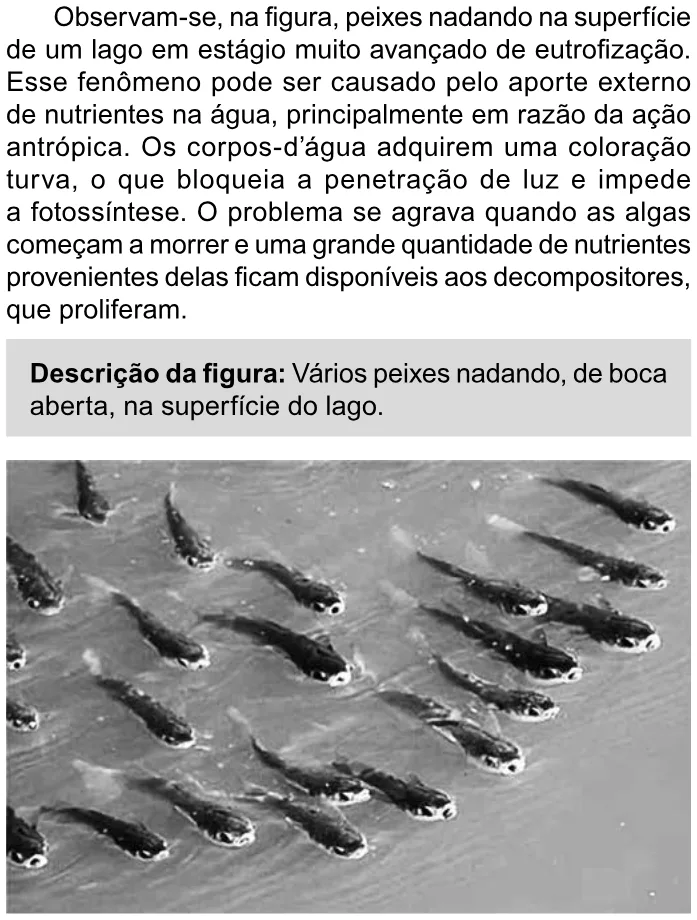 Trecho original com figura, tabela ou fórmula da questão 107 do ENEM 2023 - 2º Dia – Caderno 11 – Laranja (braile e ledor) – Reaplicação/PPL.