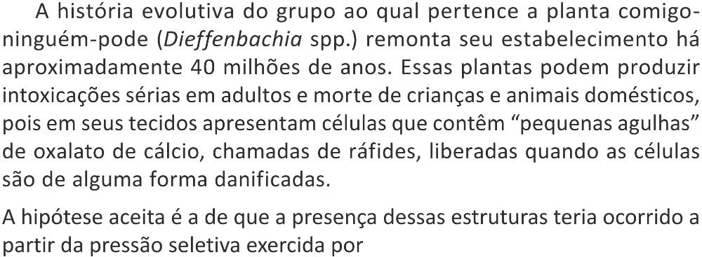 Trecho original com figura, tabela ou fórmula da questão 93 do ENEM 2025 - 2º Dia – Caderno 11 – Laranja (Braile e ledor) – Aplicação Regular - (Superampliada) - Belém, Ananindeua e Marituba.