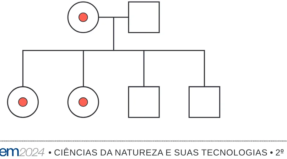 Alternativa C da questão 93 do ENEM 2024 - 2º Dia – Caderno 8 – Verde – Aplicação Regular - (Ampliada).