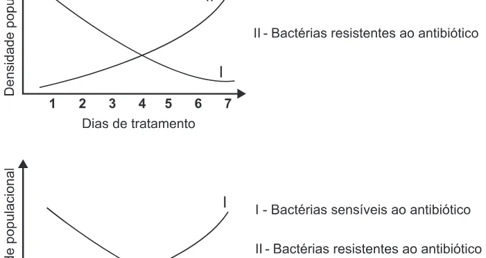 Alternativa B da questão 59 do ENEM 2015 - 1º Dia - Caderno 10 - Branco – Reaplicação/PPL.