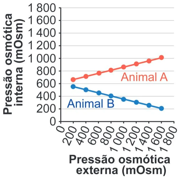 Gráfico da alternativa E da questão 105 do ENEM 2024.