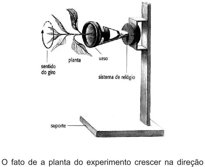 Trecho original com figura, tabela ou fórmula da questão 72 do ENEM 2010 - 1º Dia Caderno 1 – Azul – Reaplicação/PPL.
