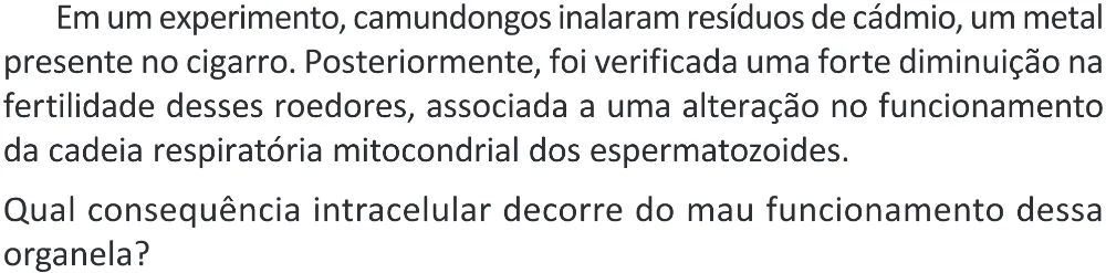 Trecho original com figura, tabela ou fórmula da questão 107 do ENEM 2025 - 2º Dia – Caderno 11 – Laranja (Braile e ledor) – Reaplicação - (Superampliada).
