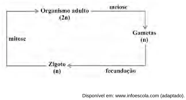 Alternativa E da questão 22 do ENEM 2009 - 1º Dia - Caderno 2 - Amarelo.